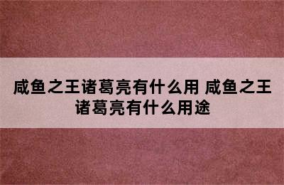 咸鱼之王诸葛亮有什么用 咸鱼之王诸葛亮有什么用途